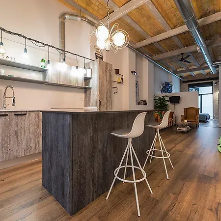 Total Loft Terrace Apartment